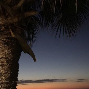 Meet your Posher, Maddee